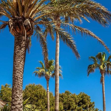 Bonito Apartamento Con Terraza, Jardin Y Piscina Cala'N Bosch  Extérieur photo